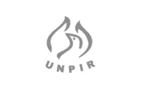 unpir-gray-70-200x126-1.webp